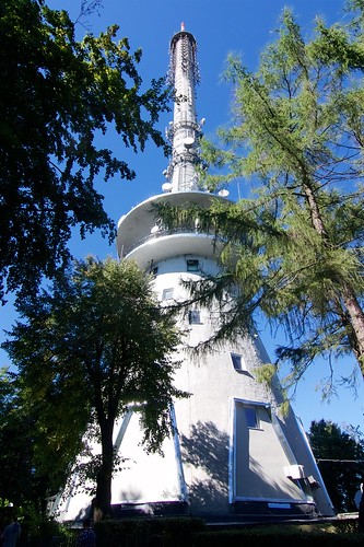Wieża transmisyjna (1957, 157 m) na Łysej Górze zza drzew