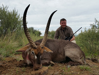Namibia Hunting Safari 67
