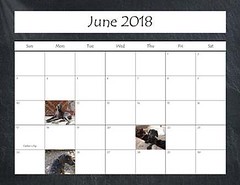 2018 Calendar_Page_13 • <a style="font-size:0.8em;" href="http://www.flickr.com/photos/109220014@N05/38613454062/" target="_blank">View on Flickr</a>