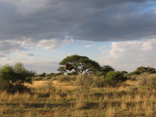 Namibia Hunting Safari 32