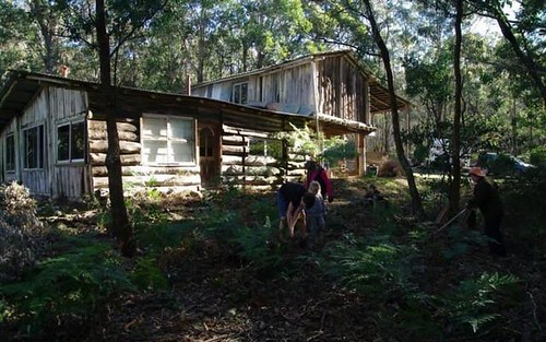 95 Berlang Forest Rd, Majors Creek NSW