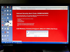 338/365  Tech Support Scam Pop-up Virus