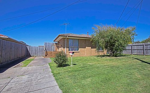 13 Hereford Dr, Belmont VIC 3216