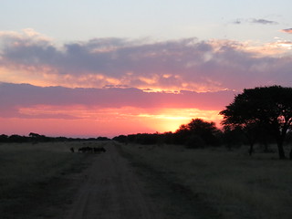 Namibia Hunting Safari 16