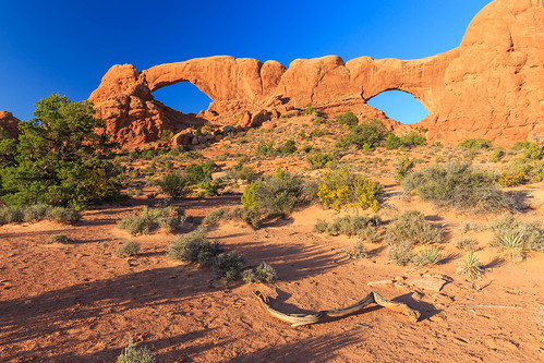 "North and South - Windows" in Arches NP