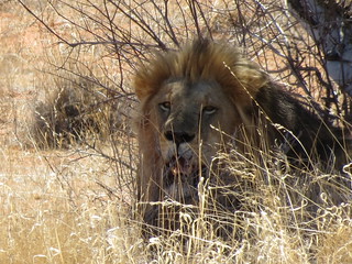 South Africa Hunting Safari - Northern Cape 55
