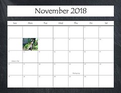 2018 Calendar_Page_23 • <a style="font-size:0.8em;" href="http://www.flickr.com/photos/109220014@N05/38589791566/" target="_blank">View on Flickr</a>