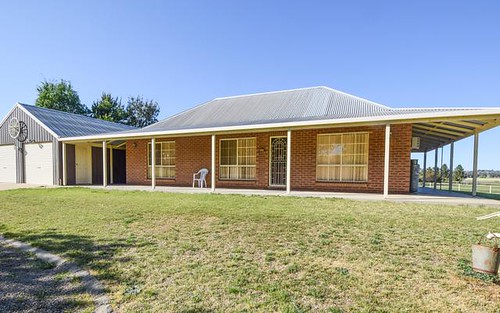 147 Milly Milly Lane, Young NSW