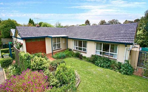 1 Pilita St, Forest Hill VIC 3131