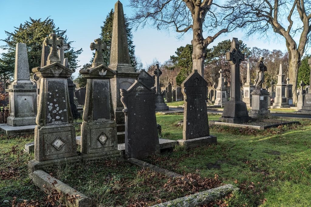 VISIT TO GLASNEVIN CEMETERY IN DUBLIN [FIRST SESSION OF 2018]-135073