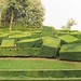 Les jardins de Marqueyssac • <a style="font-size:0.8em;" href="http://www.flickr.com/photos/63683636@N08/25596749678/" target="_blank">View on Flickr</a>