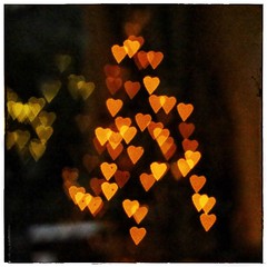Day 346 - Heart Bokeh ❤️  My first attempt - probably need to experiment a bit more. #day346 #346/365 #365