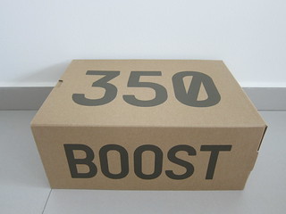 Adidas Yeezy Boost 350 v2 (Blue Tint)