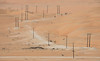 Abu Dhabi Desert 2 • <a style="font-size:0.8em;" href="http://www.flickr.com/photos/55250729@N04/25471654957/" target="_blank">View on Flickr</a>