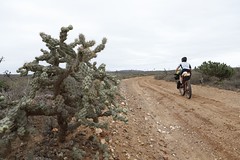 Climbing away from Odisea, avoiding cactus beside the track