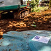 45520-001: Community Sanitation Project in Samoa by Asian Development Bank