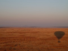 drifting shadow, Nambiti Reserve