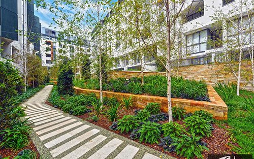 7409/2 Cullen Close, Forest Lodge NSW