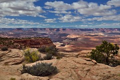 Foreground and Background (Canyonlands National Park)