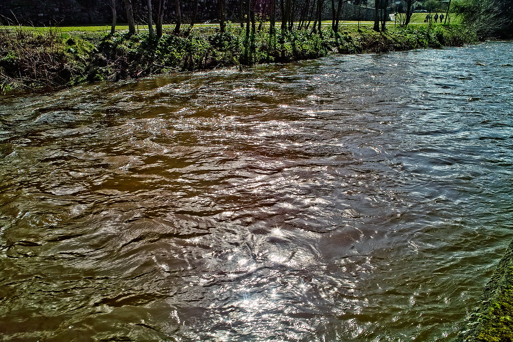 THE DAY AFTER THE DODDER FLOODED IN 2008 [OLD RAW FILES FROM A SIGMA DP1 HAVE BEEN REPROCESSED]-136109