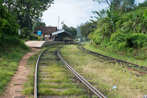 Train entre Ella et Nanu Oya