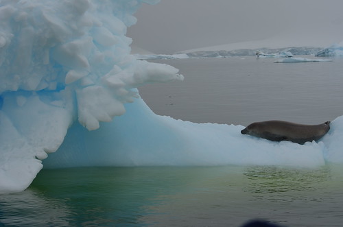 Antarctica, January 2018