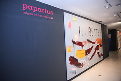 PAPARTUS (17)