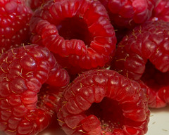 raspberries EXPLORED 10/02/18.jpg