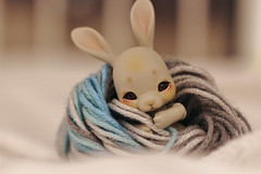 011/365 Snuggle Bunny