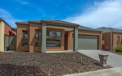 19 Donnelly Circuit, South Morang Vic