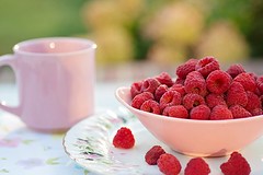 Anglų lietuvių žodynas. Žodis fruited reiškia vaisių lietuviškai.