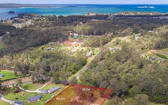 38 Curtis Road, Catalina NSW