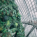 Singapore - Gardens by the bay