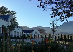 from the Coach House toward the manor house, Val du Charron, Western Cape