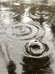 8/365: Rainy reflections