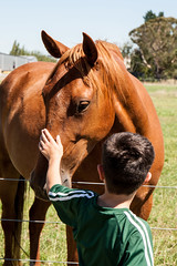 20180215_9132_1D3-64 Ethan and the horse (046/365)