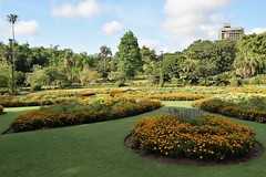 Anglų lietuvių žodynas. Žodis formal garden reiškia oficialus sodas lietuviškai.