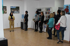 Inauguración de la Exposición Colectiva de Artistas Plásticos Dominicanos • <a style="font-size:0.8em;" href="http://www.flickr.com/photos/137394602@N06/39894670892/" target="_blank">View on Flickr</a>