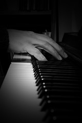 Piano by Moonlight