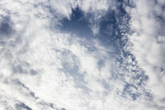 049/365 : Clouds
