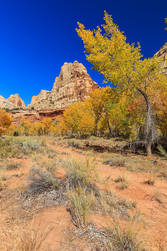 Capitol Reef in fall