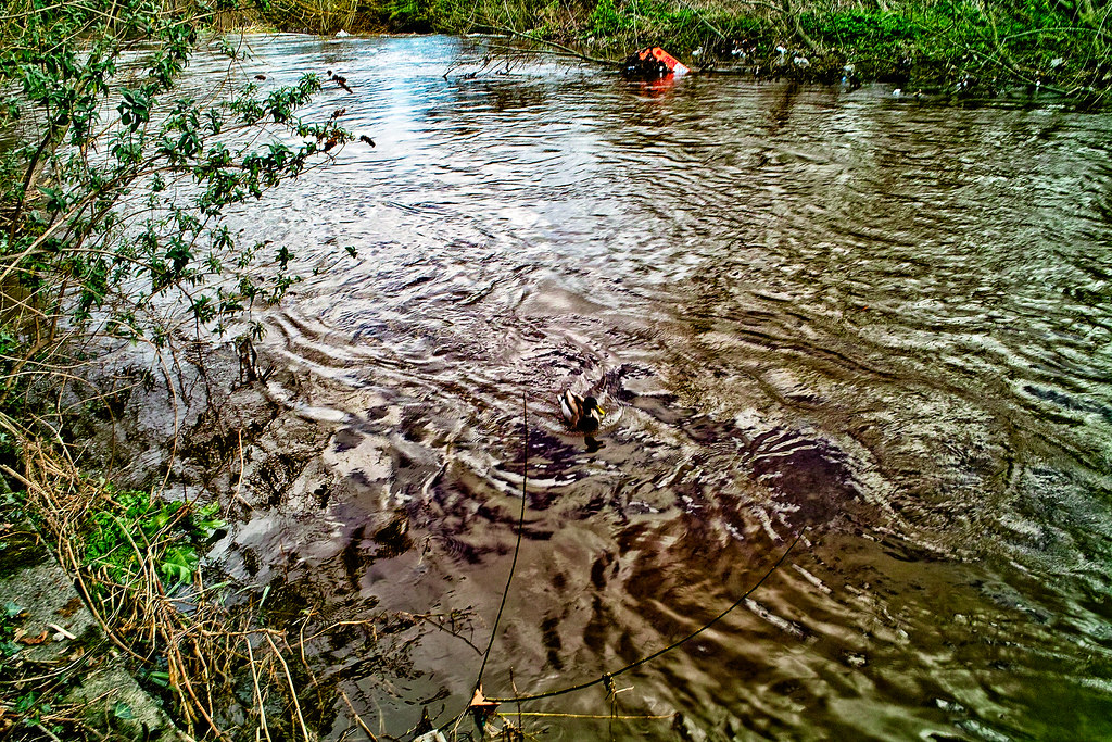 THE DAY AFTER THE DODDER FLOODED IN 2008 [OLD RAW FILES FROM A SIGMA DP1 HAVE BEEN REPROCESSED]-136138