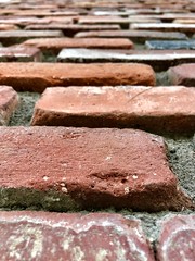 18/365: Another brick in the wall