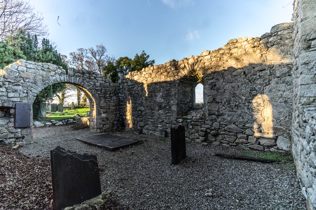 ANCIENT CHURCH AND GRAVEYARD AT TULLY [LAUGHANSTOWN LANE NEAR THE LUAS TRAM STOP]-134564