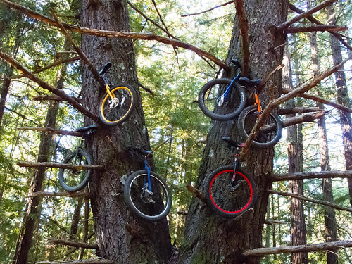 Unicycle tree