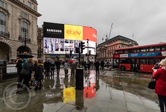 London Nov 2017 147 - Piccadilly Circus, very wet