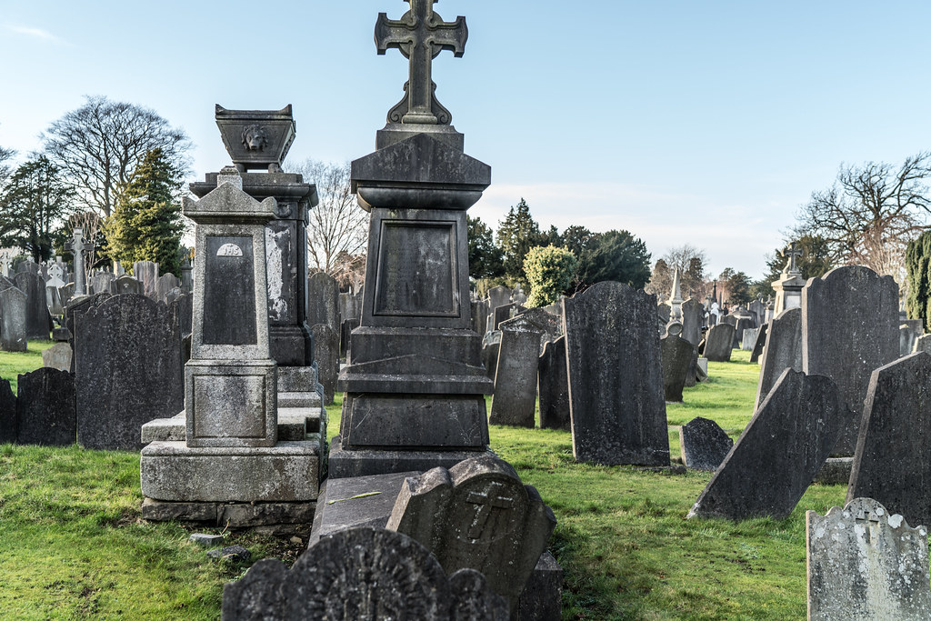 VISIT TO GLASNEVIN CEMETERY IN DUBLIN [FIRST SESSION OF 2018]-134896