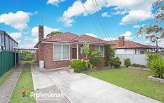 140 Virgil Avenue, Chester Hill NSW