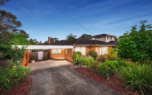 169 Mt Pleasant Rd, Forest Hill VIC 3131