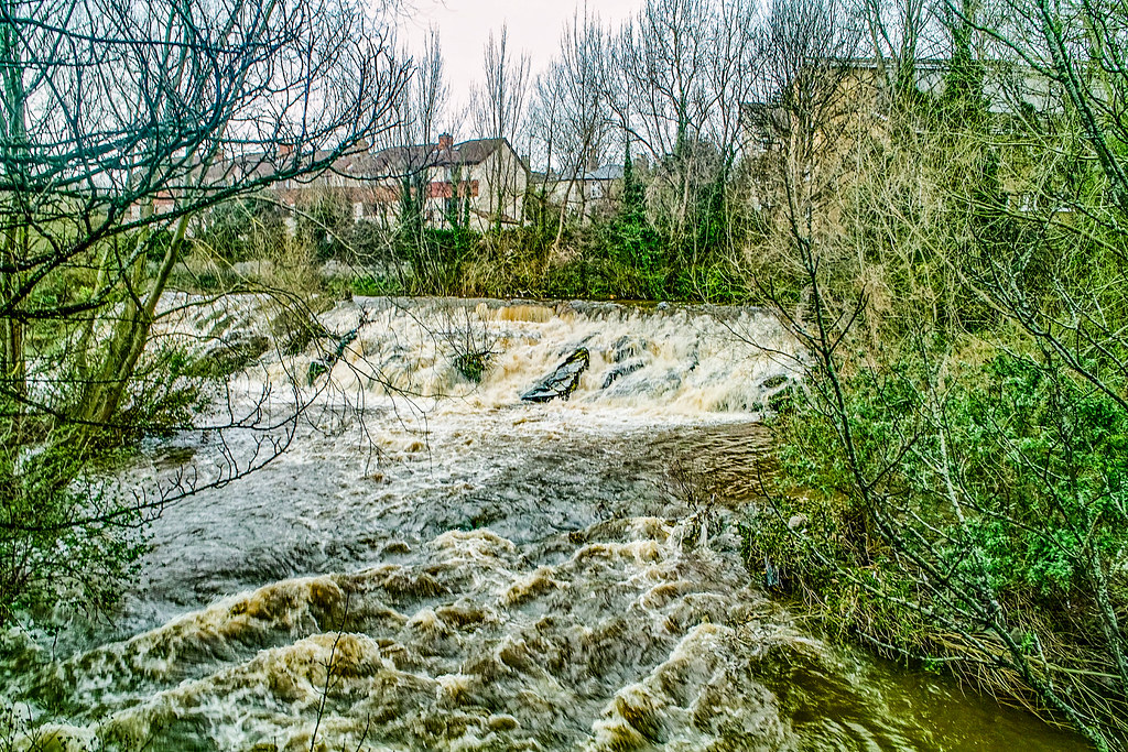 THE DAY AFTER THE DODDER FLOODED IN 2008 [OLD RAW FILES FROM A SIGMA DP1 HAVE BEEN REPROCESSED]-136157